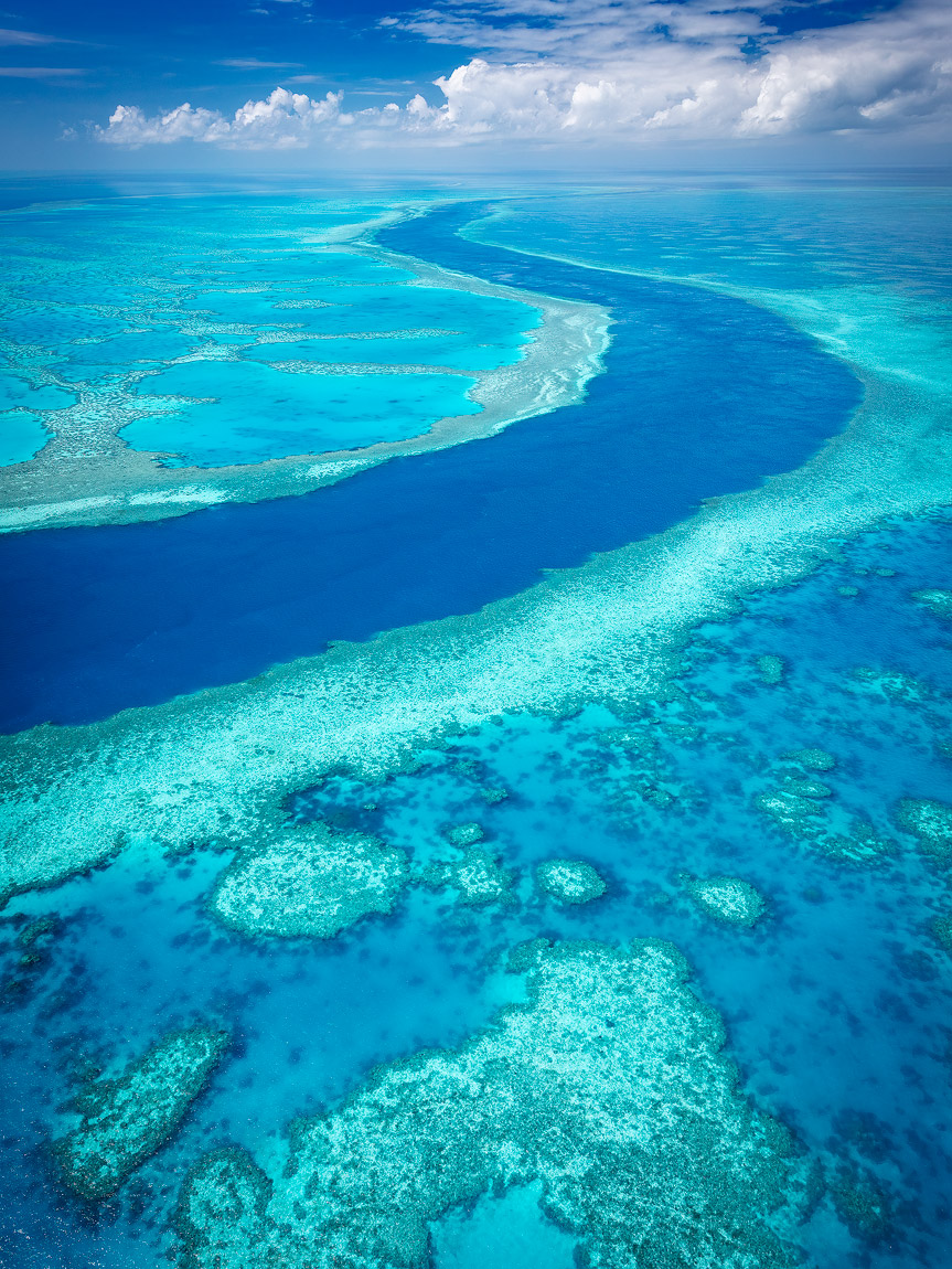 Great Barrier Reef Photo