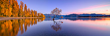 Queenstown Photography Tour