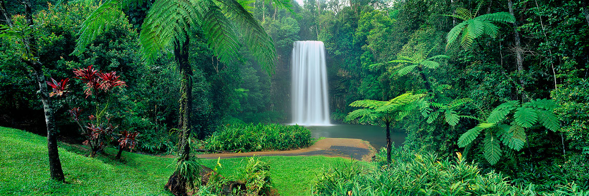 Millaa Millaa Falls