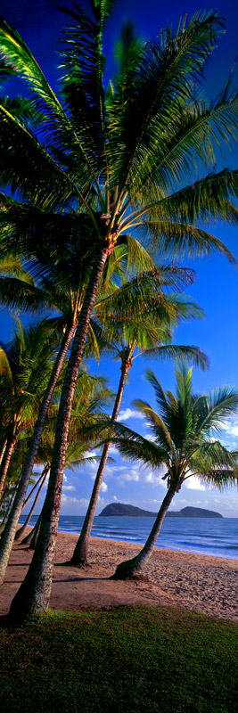 Palm Cove, Queensland