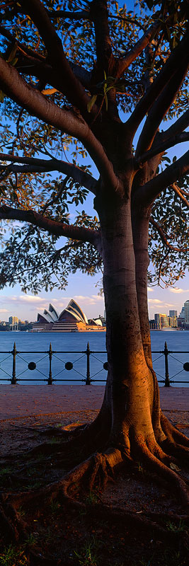 Sydney Opera House, New South Wales