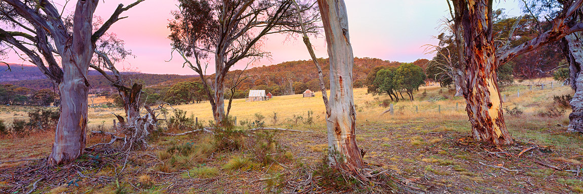 Coolamine Homestead