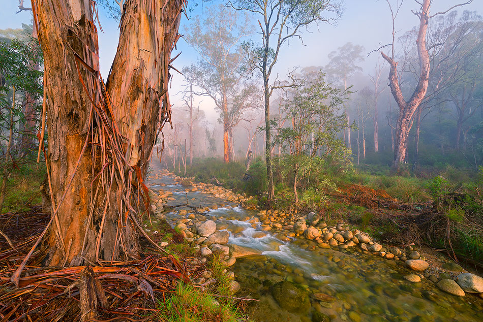 Crystal Brook, Mount Buffalo