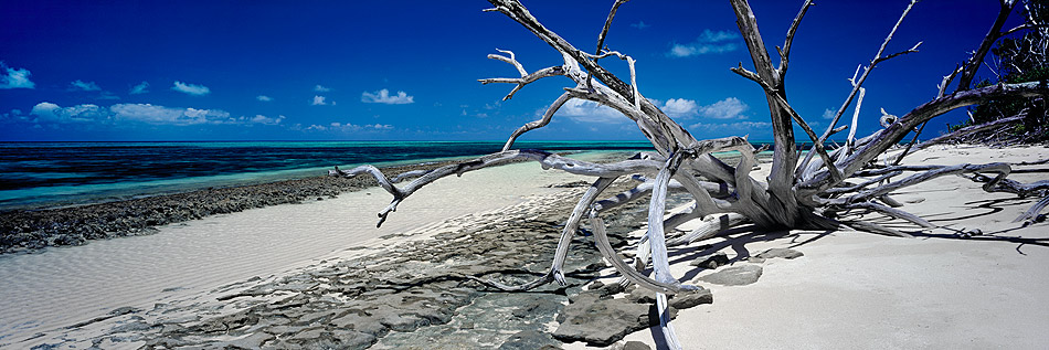 Green Island, Queensland