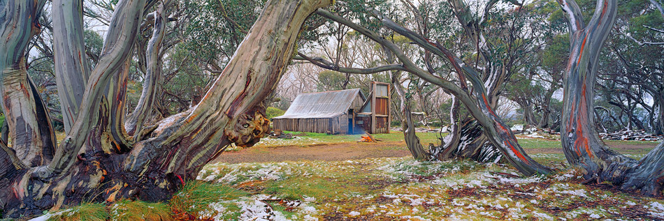 Wallaces Hut Snow Photos