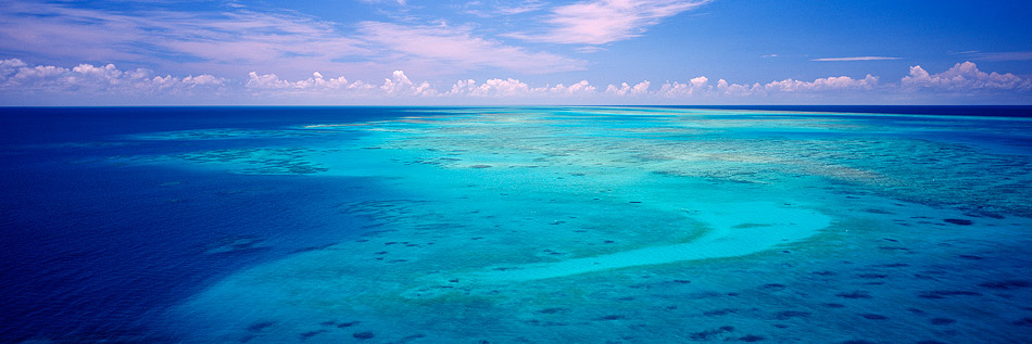 Great Barrier Reef Photo Cairns