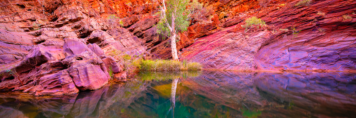 Hamersley Gorge Photo