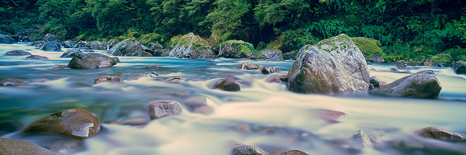 Hollyford River, Milford Sound