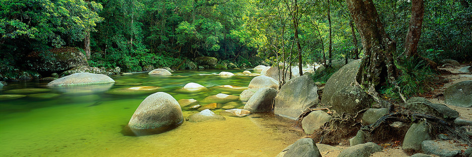 Mossman Gorge