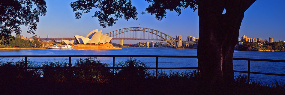 Mrs Macquarie Chair