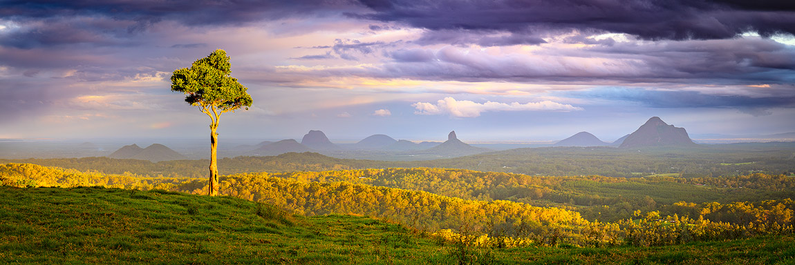 One Tree Hill, Glasshouse Mountains