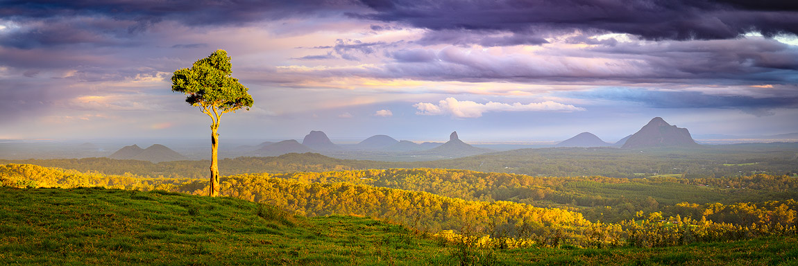 One Tree Hill Maleny, Glasshouse Mountains