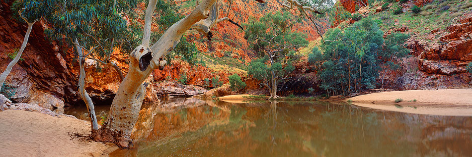 Ormiston Gorge Photo