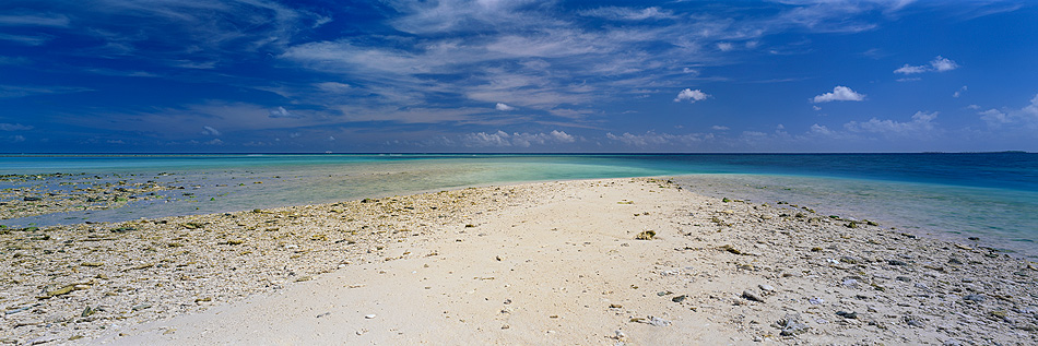 Lady Musgrave Island Photos