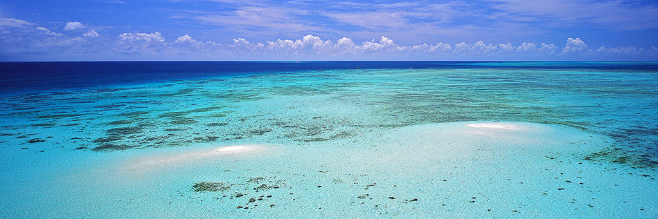 Sand Cay Limited Edition Print