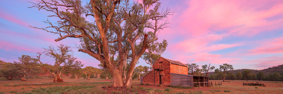 Wilpena Pound Sunset Photo