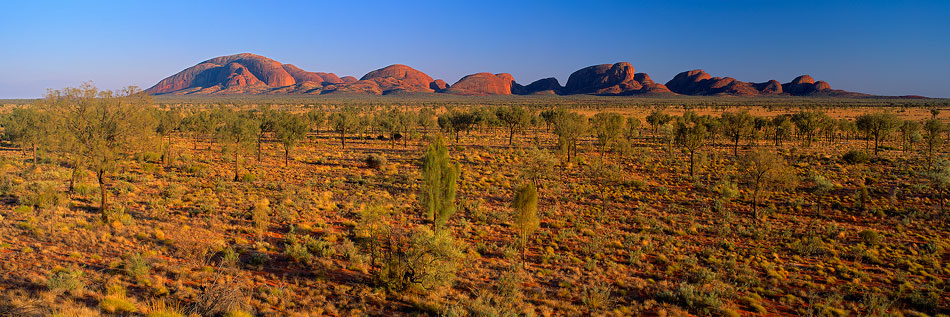 The Olgas Dune View