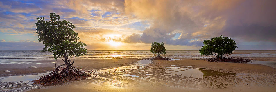 Cape Tribulations Sunrise Photos