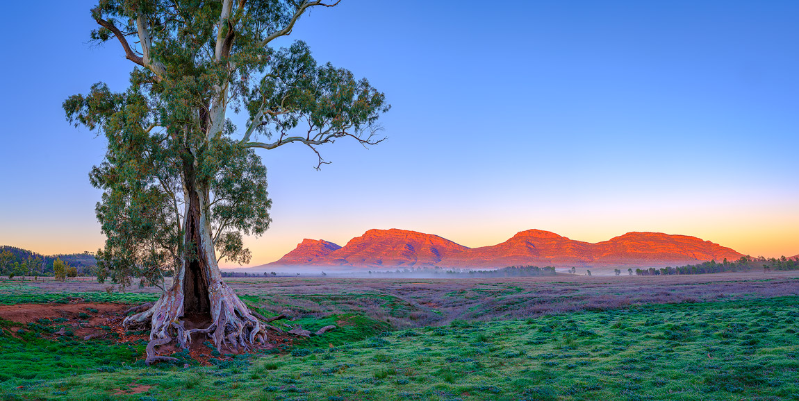 Wilpena Pound Photos