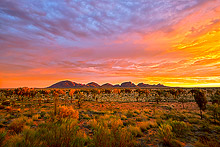 Kata Tjuta Sunrise