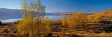 Lake Pukaki, Mount Cook, New Zealand