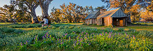 Wilpena Pound Workshop