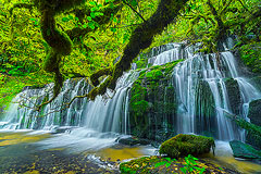 Purakaunui Falls, New Zealand