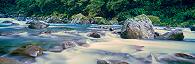 Hollyford River, Valley