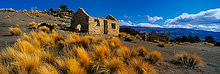 Welshtown, Bendigo Gold Fields, New Zealand