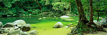 Mossman Gorge