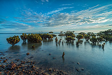 Phillip Island Photography Tours