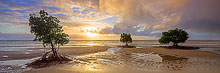 Cape Tribulation Sunrise, Daintree National Park