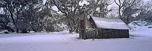 Wallaces Hut Photos